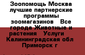 Зоопомощь.Москва лучшие партнерские программы зоомагазинов - Все города Животные и растения » Услуги   . Калининградская обл.,Приморск г.